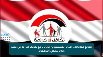 نتائج مفاجئة.. أعداد المستفيدين من برنامج تكافل وكرامة في مصر 2025 تتخطى التوقعات